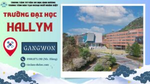 Đại học Hallym - Du học Ánh Dương