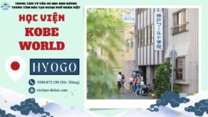 Học viện Kobe World - Du học Ánh Dương